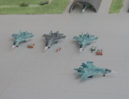 白鳥の舞う日 (ピロ式 様) 白鳥の舞う日 (ピロ式 様)